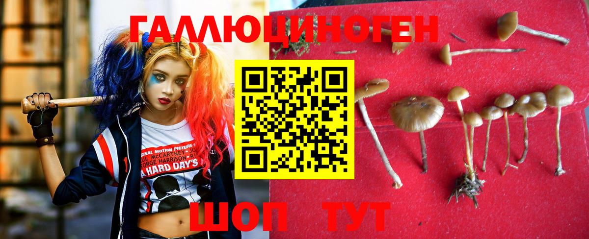 Челябинск  Галлюциногенные грибы Magic Shrooms  Вход с VPN 