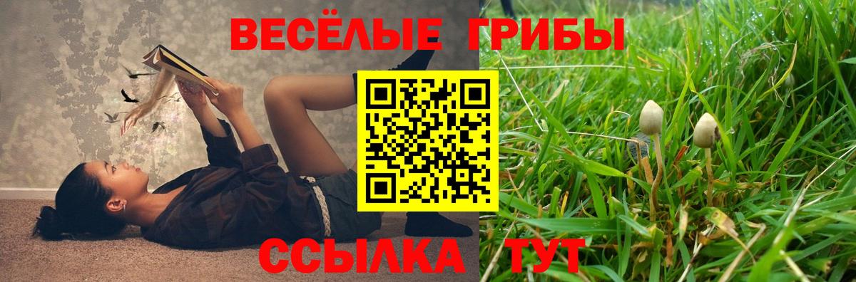 Галлюциногенные грибы мухоморы Челябинск